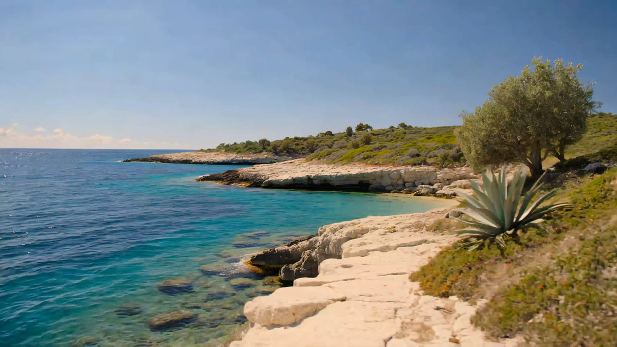 Italienische Mittelmeerküste mit türkisem Wasser, hellem Kalkstein, Agave und Olivenbaum unter blauem Himmel